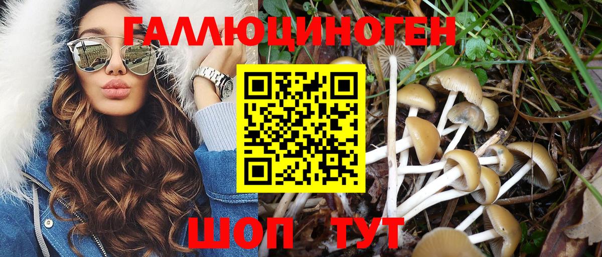 Галлюциногенные грибы Psilocybine cubensis Канаш