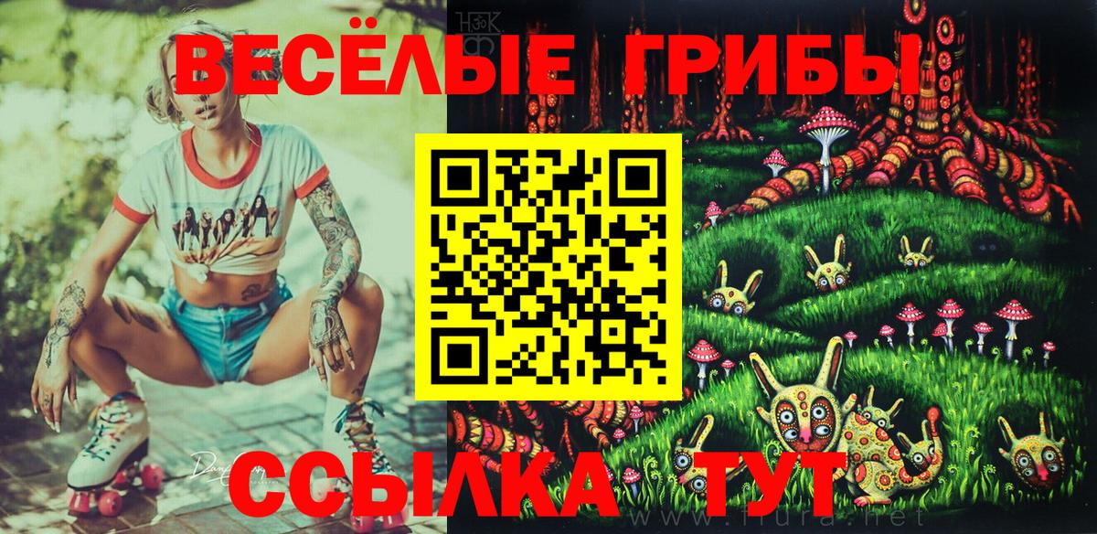 сколько стоит  Вход с VPN  Канаш  Галлюциногенные грибы Magic Shrooms  Галлюциногенные грибы прущие грибы 